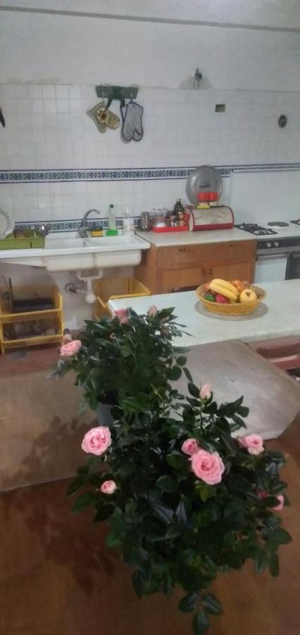 Salerno Experience Hostel Dış mekan fotoğraf